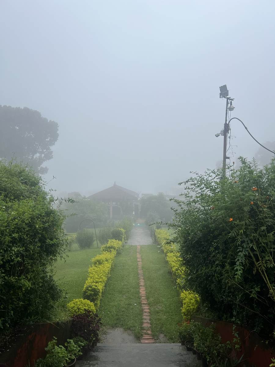 Garden path disappearing into morning mist